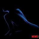 프로비디오 이미지