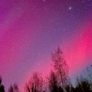 조종 한의원 이미지