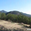 효선농산