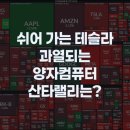 산타랠리는 오는 걸까? 쉬어가는 테슬라와 과열되는 양자컴퓨터
