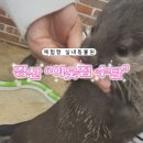 힐링 1000% 대구 근교 체험형 동물원, 경산 “이웃집 수달” 방문 후기