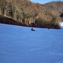 예당흑염소 | 일기를 낉여오너라