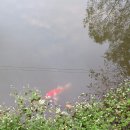 반석유치원 이미지