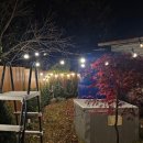 잭큐몬티562 이미지