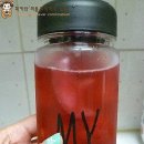 데이즈보틀