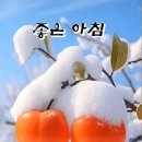 전남고등학교 이미지