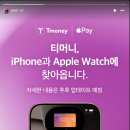 티머니페이_버스