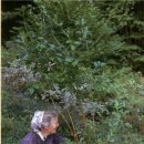 타샤의정원 이미지