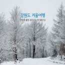 1월19일(일) 정선 운탄고도 5코스 눈꽃산행 이미지