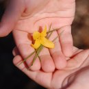 윤피부사랑 이미지