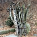 숫골목장 이미지