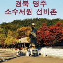 선비촌매점