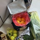 선일회박사