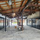 인간(의) 조건 展 이미지