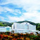 부산광역시의료원 이미지