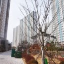 동의정부-민락 이미지