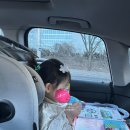 멍멍이와 야옹이 | 16개월 아기 언어폭발 시기 필수템 베베핀 말놀이책 사용 후기 (16개월부터 추천해요)