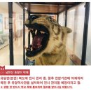 유달초등학교 이미지