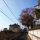 서촌등산로 이미지