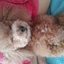 커피마실 이미지