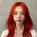 더컷헤어 - 북구 시랑로 67 | 더컷헤어
