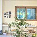 빅토리워시 원주점 이미지