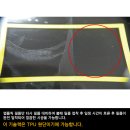 제이더블유인터내셔널 이미지
