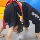 강한합기도 이미지