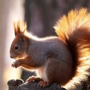 오십년할머니집 이미지