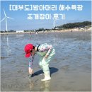 대부도 방아머리 해수욕장 조개잡이 후기