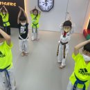 효키즈태권도 이미지