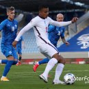 그린우드 이미지