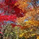 꽃마을로 이미지