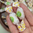 유기농테마파크 톡톡마켓 | 100년의 노하우가 담긴 이탈리아 유기농 바이오캔디 3종 먹어본 후기