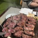 몽탄 이미지