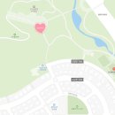 뜨레어린이집 | 수원근교 오산 고인돌공원 장미뜨레 장미 개화 상태