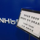 우리펫 이미지