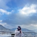 첨단기업로2L(2)-28 | [제천 숙소 추천] 커플 가족여행, 해브나인 스파 포레스트 리솜 G 40 빌라 클린(feat. 내돈내산)