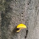 박민광 밝의뉘 이미지