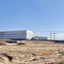 동막동(5) 이미지