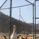 소소리농장 이미지