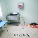 호반애견훈련소 이미지