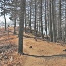 비래사약수터 이미지