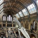 오인진행정사사무소 이미지