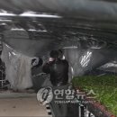 청아목장 이미지