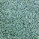 동명근린공원(축구장) | [축구장 리뷰] 양재근린공원 축구장