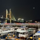 여수연합항운(여수해양공원) 이미지