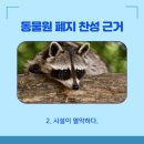 푸마2농장 네이버블로그