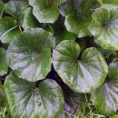 연봉초등학교 이미지