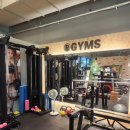 파워짐 | 구래동 PT 추천, 파워짐 1인 PT샵 운동 후기